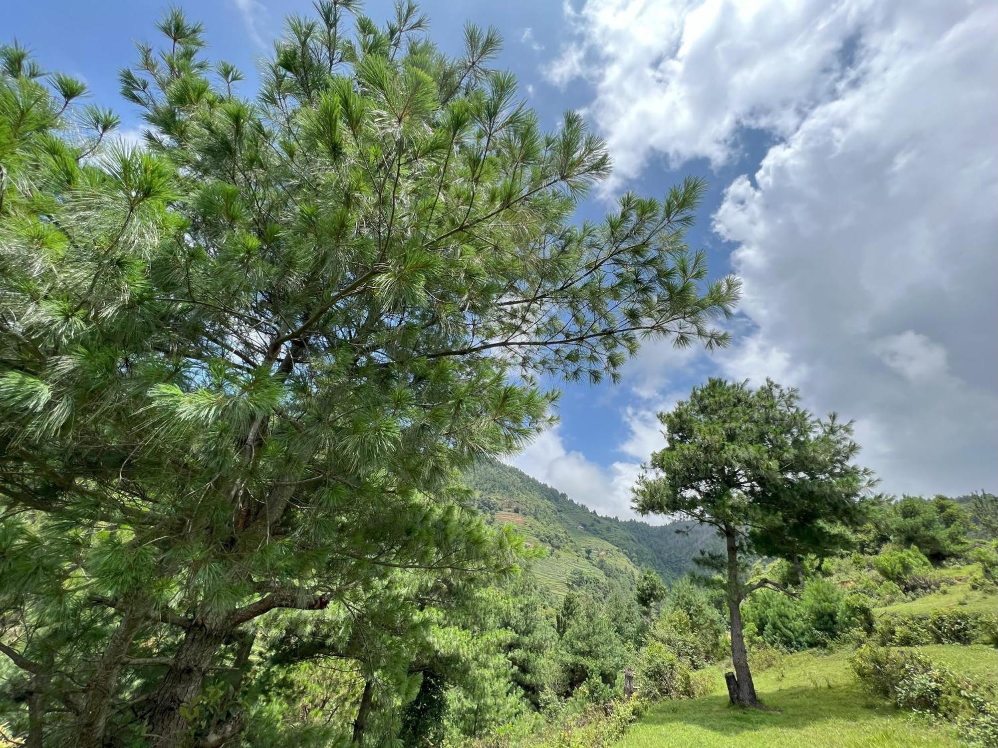 Joy Source Resort Катманду Экстерьер фото